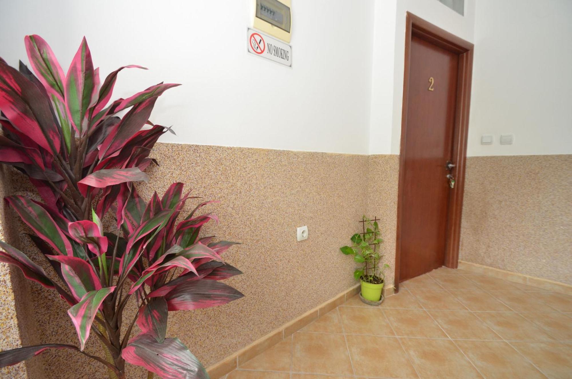 Apartments Mir I Dobro Kotor Extérieur photo